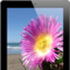 Отзывы о планшете Apple iPad 16GB 4G Black (MD516) (4 поколение, 2012 год)