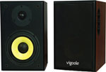 Отзывы о акустической системе Vigoole C2028